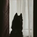 力元君