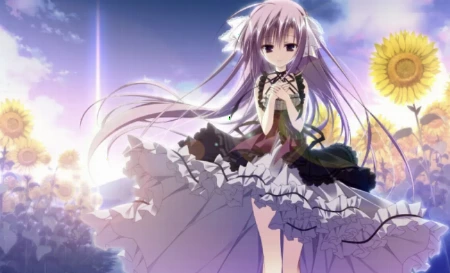 8年后重返向日葵教会，少女们与你的明亮而令人难过的夏日重逢治愈神作——《向日葵的教会与长长的暑假》正式上架啦～📣