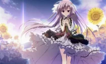8年后重返向日葵教会，少女们与你的明亮而令人难过的夏日重逢治愈神作——《向日葵的教会与长长的暑假》正式上架啦～📣