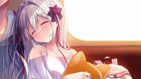 🌟 单机新作上线 | 《流星 -a Wish Star-》正式发售 🌟