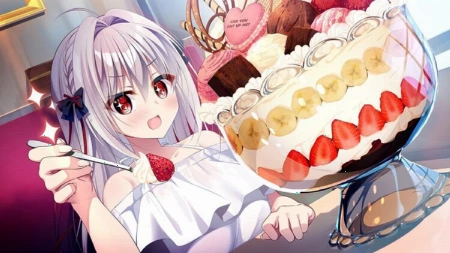 🌟 单机新作上线 | 《流星 -a Wish Star-》正式发售 🌟