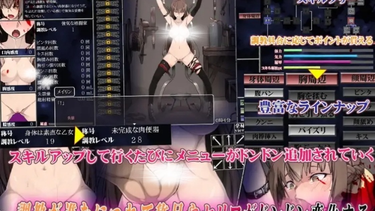 淫乱性奴调教计划