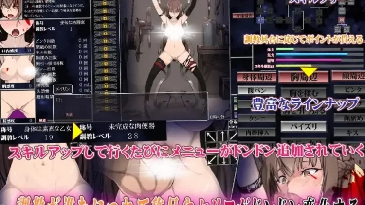 淫乱性奴调教计划