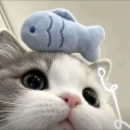 霸气的c