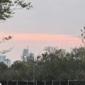 W.
