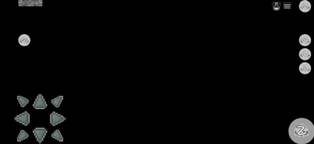 Bug