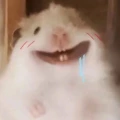 下次一定