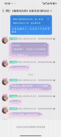 什么时间上线