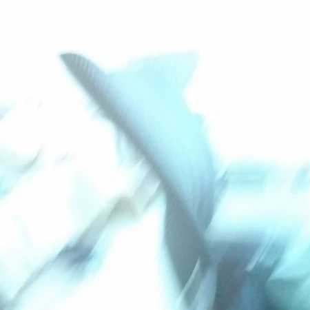 ？