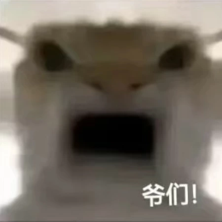 来领积分的