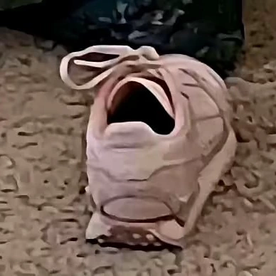我要积分六