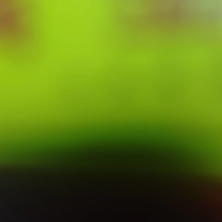哔咔两三天