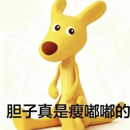 可以