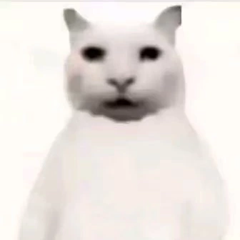 报玩