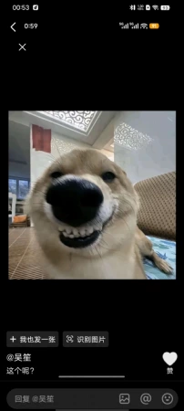 很不错