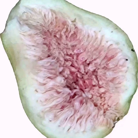 不知道啊哈
