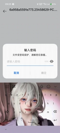 给我密码
