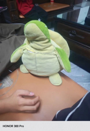 瓦房租房子