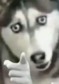 孤独