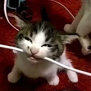 色色