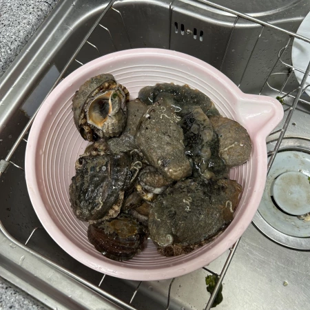 古古怪怪f