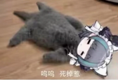 积分积分积分