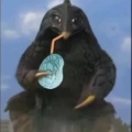 务实的唇膏