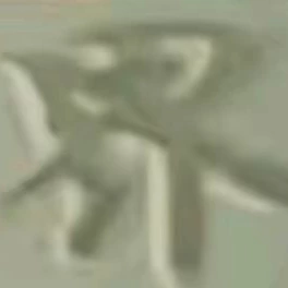 好舒爽啊