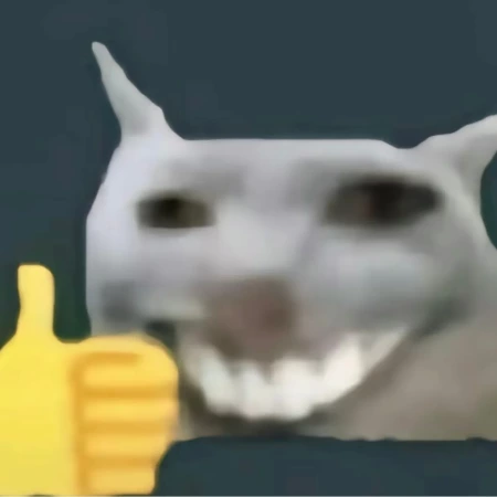 。。。。。。。打卡